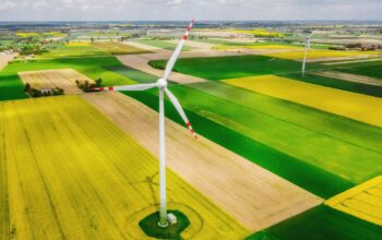 windmill, field, landscape